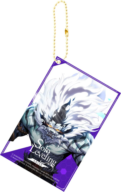 Solo Leveling Acrylic Anime Key Chain Pendant Keychain Bag Charms Figure Jewelry Friends Gifts Accessories Transparent Card